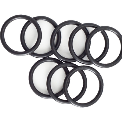 PP06 পাউডার পাম্পের জন্য G90-1006267 রক্ষণাবেক্ষণ কিট