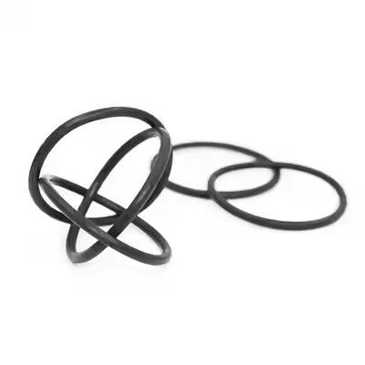 1095885 পালিশ করা ট্রাইবো জেন II পাউডার কোটিং পাম্প ও-রিং কাস্টম ওএম সমর্থন