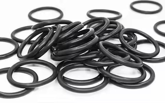 1095885 পালিশ করা ট্রাইবো জেন II পাউডার কোটিং পাম্প ও-রিং কাস্টম ওএম সমর্থন